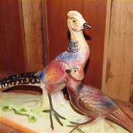 taxidermy pheasant for sale