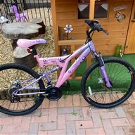 ladies electric bike for sale