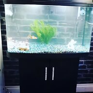 boyu fish tank for sale