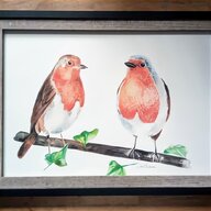 robin watercolour for sale
