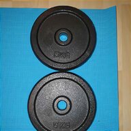 cast iron weights for sale