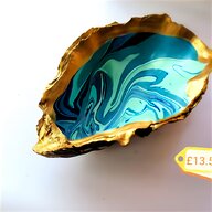 oyster shell for sale
