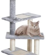 cat climbing tower for sale