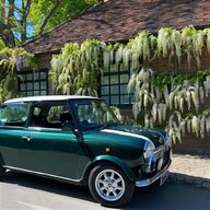 rover classic minis for sale