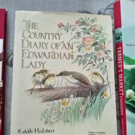 diary edwardian lady for sale