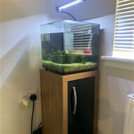 60 litre biorb fish tank for sale