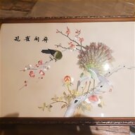 chinese pheasant for sale