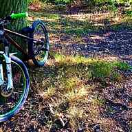 saracen jump bike for sale