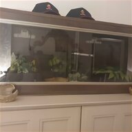 8 ft fish tank for sale
