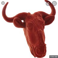 cow skull for sale