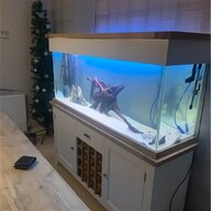 aquarium fish tanks for sale