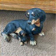 dachshund for sale