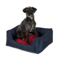 dog beds for sale