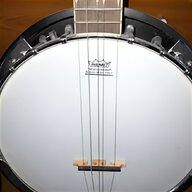 vega banjo for sale