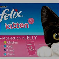 cat pill box for sale