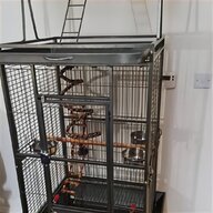 plastic perches bird cages for sale
