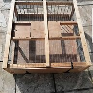 pigeon cage for sale