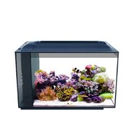 fish box tank for sale