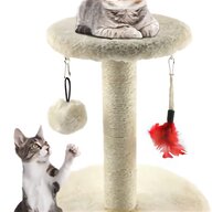cat climbing tower for sale