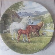 davenport plate for sale