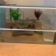 2ft fish tank for sale