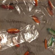 salmon spinners for sale