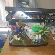 cylinder fish tank for sale