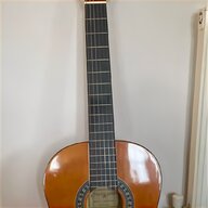 slide guitar strings for sale