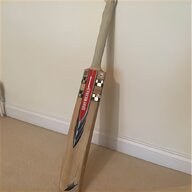 somerset cricket for sale