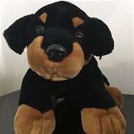 rottweiler dog for sale