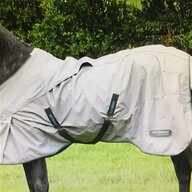 horse blanket for sale