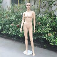 display mannequins for sale