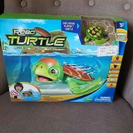 real turtles for sale