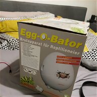 7 egg incubator for sale