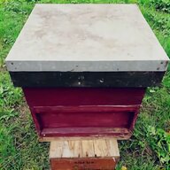 wbc hive for sale