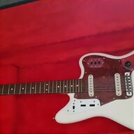 telecaster deluxe body for sale