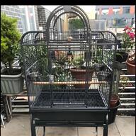 brass bird cage for sale