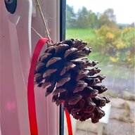 large pine cones for sale