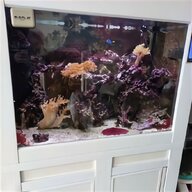 aquarium overflow box for sale
