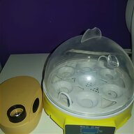 7 egg incubator for sale