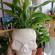 ceramic skull for sale