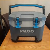 igloo maxcold for sale