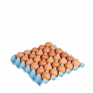 egg trays for sale