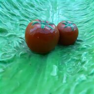 carlton ware tomato for sale