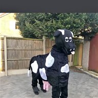 panto horse for sale