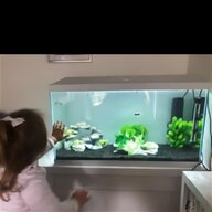 rena aquarium fish tank for sale