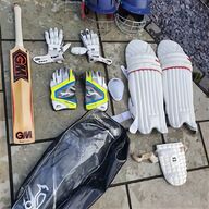 ss cricket bat for sale