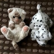 puppy teddy for sale