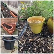 3ltr plant pots for sale