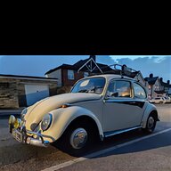 classic beetle for sale